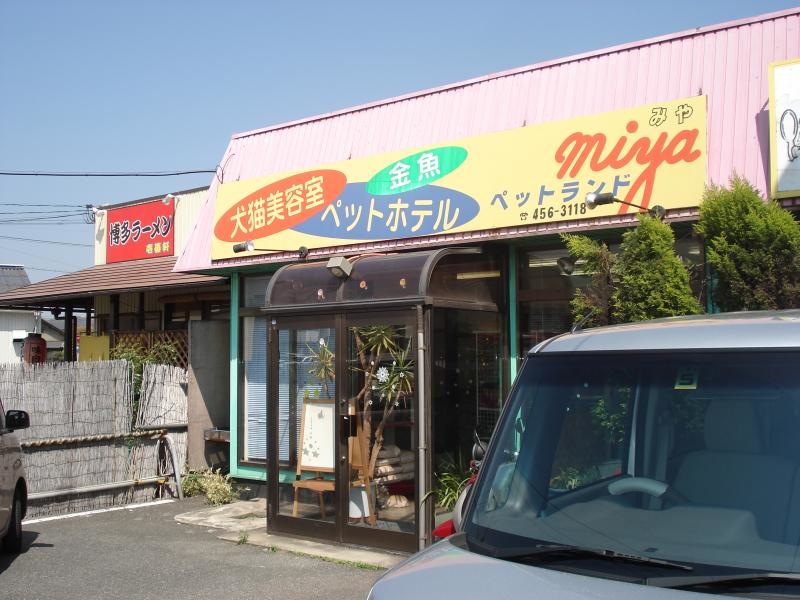 外観です。