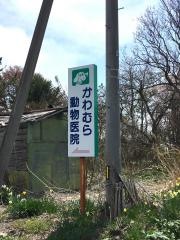 かわむら動物医院