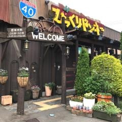 びっくりドンキー　青森浜田店