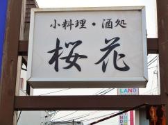 桜花