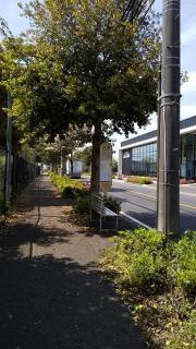 「中郷(藤沢市)」バス停留所