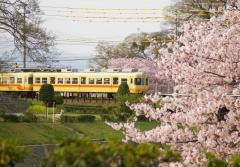石手川公園駅