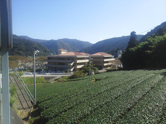 とこは