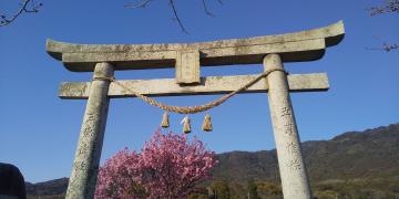 春日神社