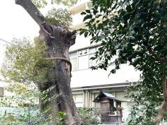 金明竜神社