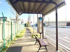 「市営埠頭」バス停留所