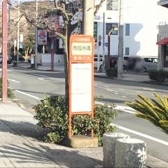 「市役所前(南側)」バス停留所