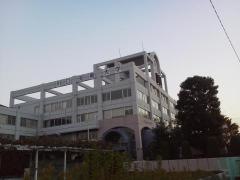 川口短期大学