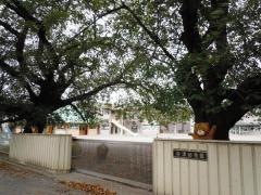 谷津幼稚園