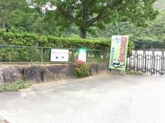 ゆめの子幼稚園