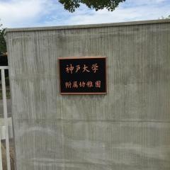神戸大学附属幼稚園