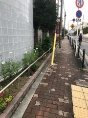 沢井産婦人科