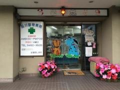 品川動物病院