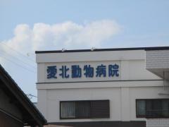 愛北動物病院