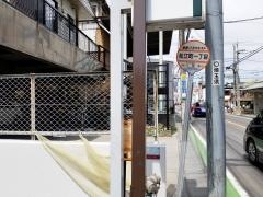 「松江町一丁目」バス停留所