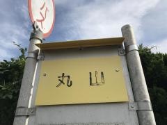 「丸山(熊毛郡平生町)」バス停留所
