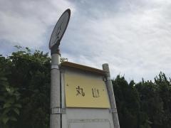 「丸山(熊毛郡平生町)」バス停留所