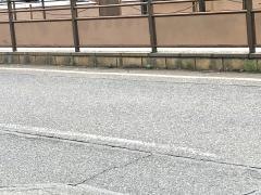 郡元・南駅