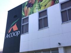 Ａコープ　大河原店