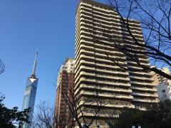 アンペレーナ百道