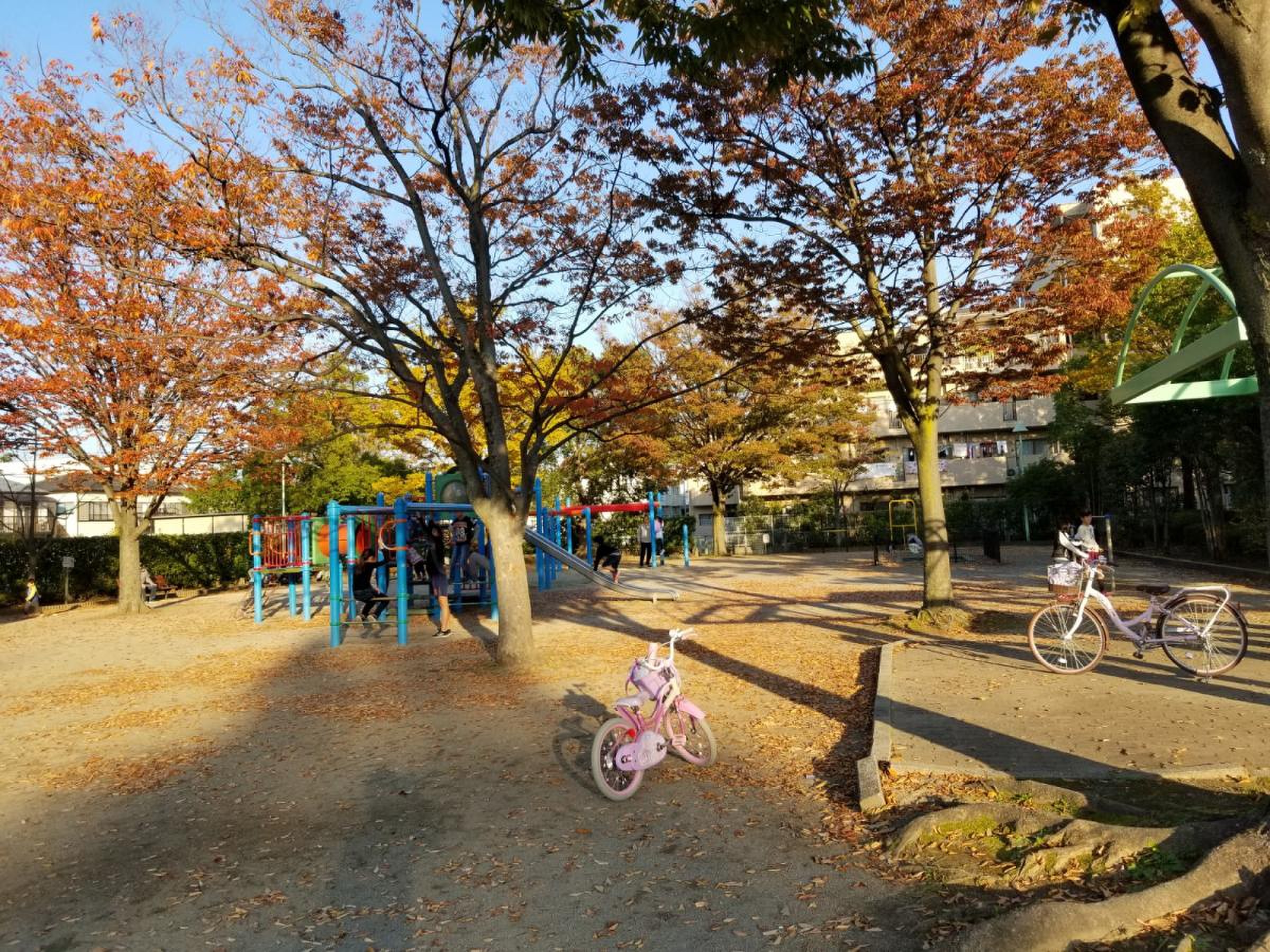 小谷 場 公園