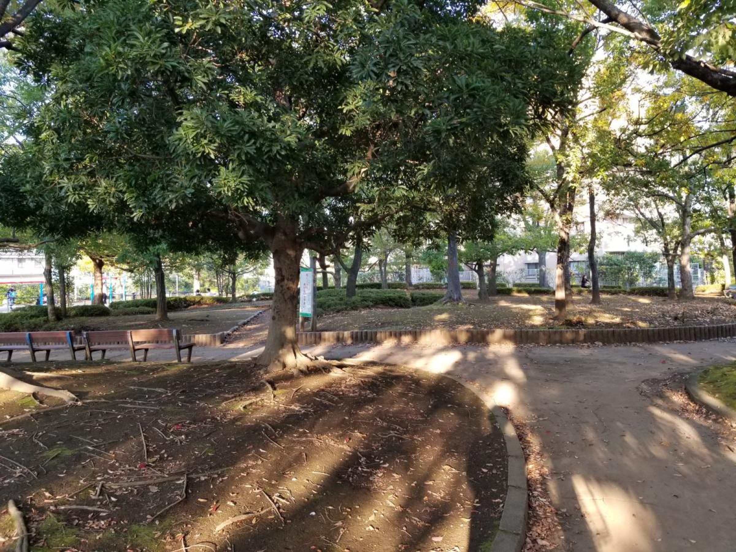 小谷 場 公園
