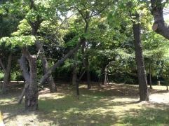 袖ケ浦5号緑地