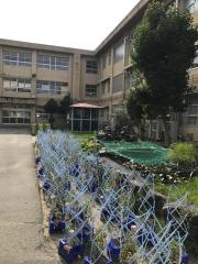 薪小学校