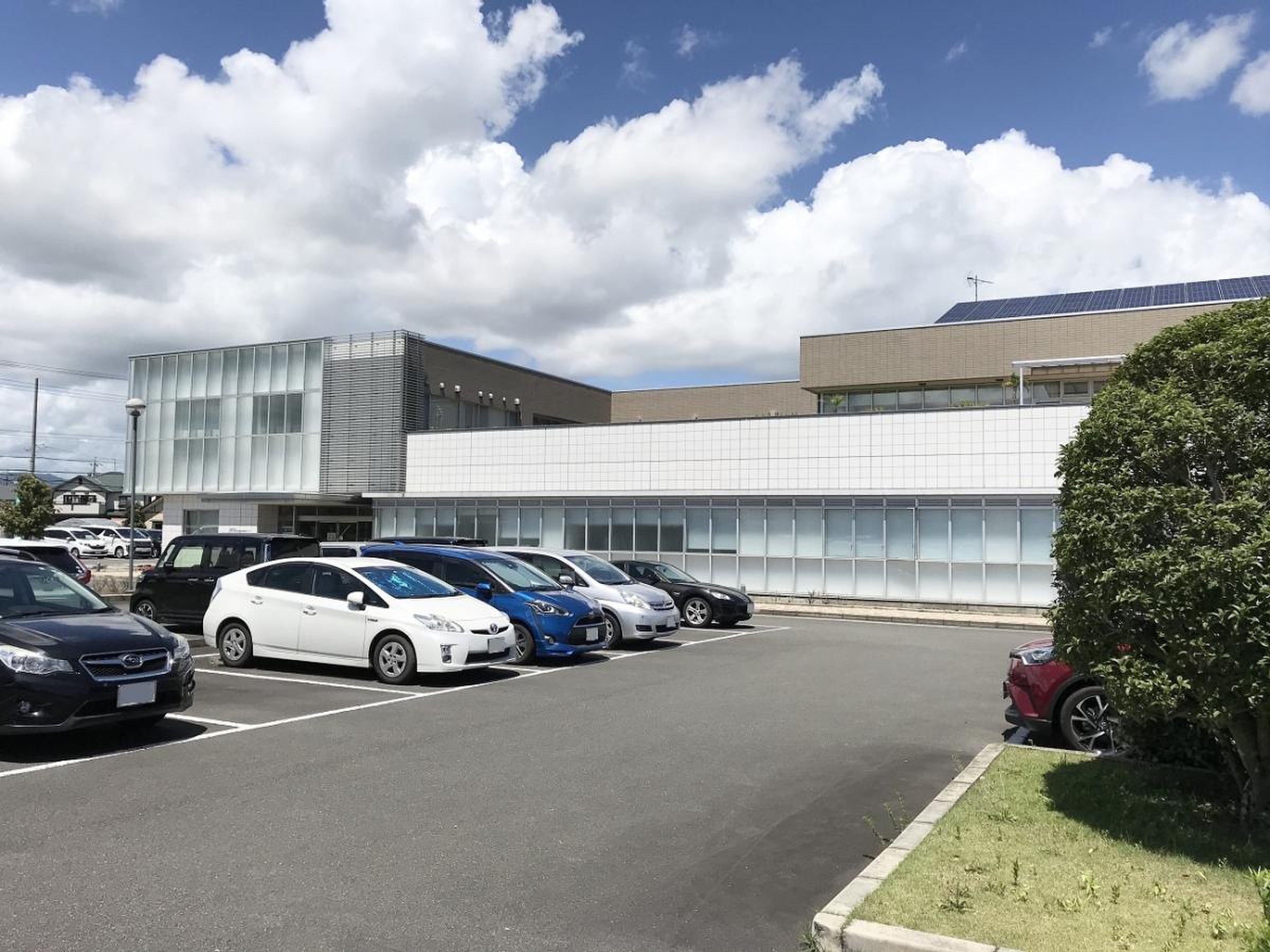 活動歴および当時の関連ビジュアル記録