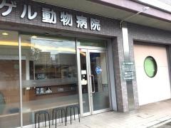 フォーゲル動物病院