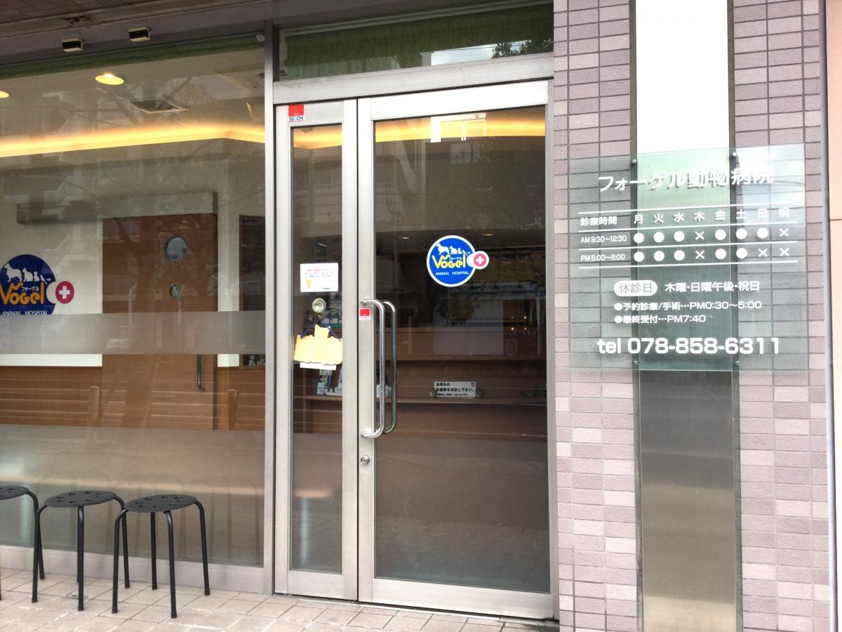 フォーゲル動物病院