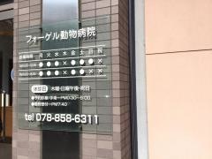 フォーゲル動物病院