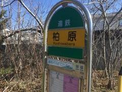 「柏原」バス停留所