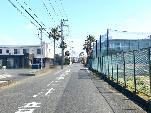 秋桜
