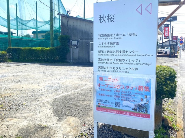 秋桜