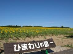 ひまわりの里
