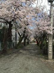 刈田嶺神社（白鳥大明神）