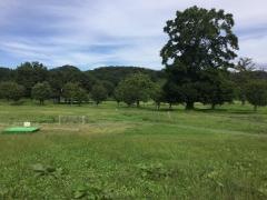 八幡原公園