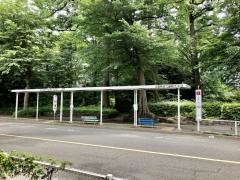 「武蔵野市役所前」バス停留所