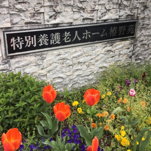 椿野苑