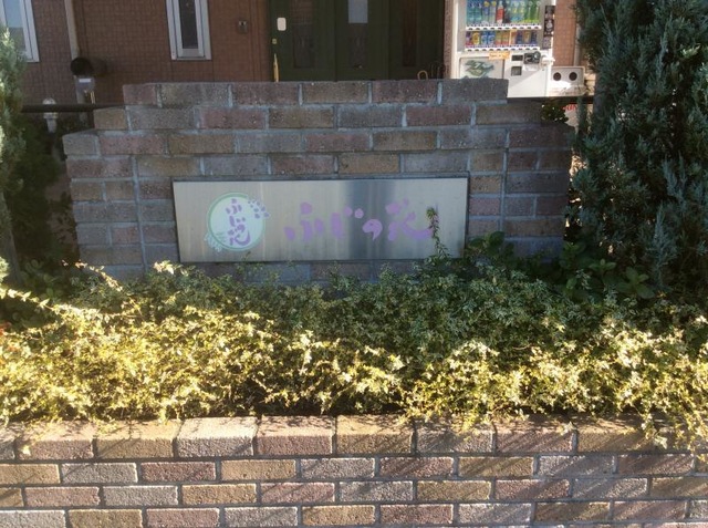 ふじの花