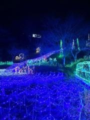 いちはらクオードの森（市原市市民の森）