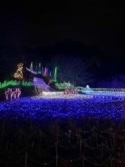 いちはらクオードの森（市原市市民の森）