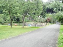丹波篠山渓谷の森公園