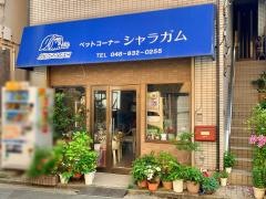 ペットコーナーシャラガム