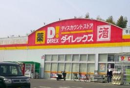 ダイレックス　平島店