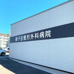 獅子目整形外科病院