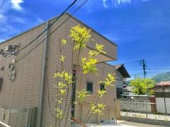 野口眼科医院