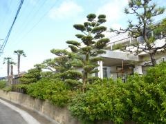 吉田医院
