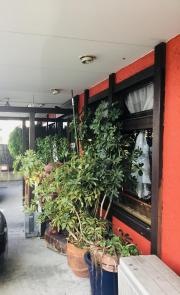 マチャプチャレ